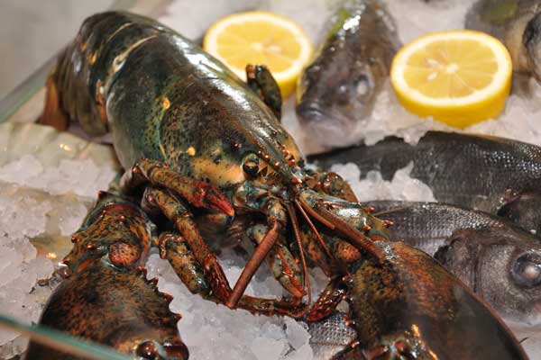 Lobster Sea Food