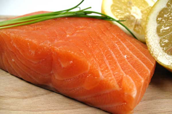 Salmon